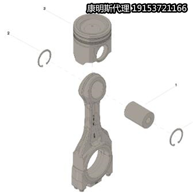 ؿ˹l(f)әC(j)3804885 KIT,ENGINE PISTON