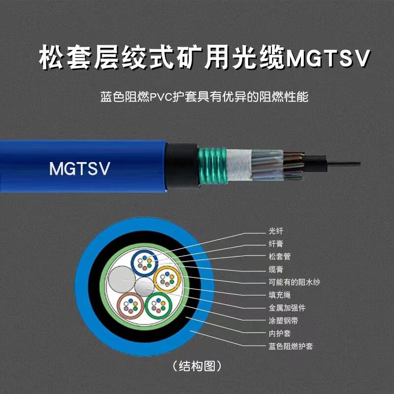 CVù|MGTS-48B